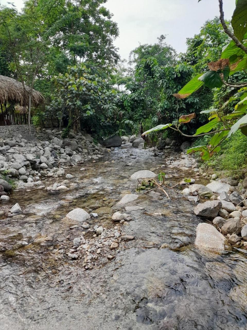 Khach San Vuon Quoc Gia Ba Be Hotell Bac Kan Eksteriør bilde