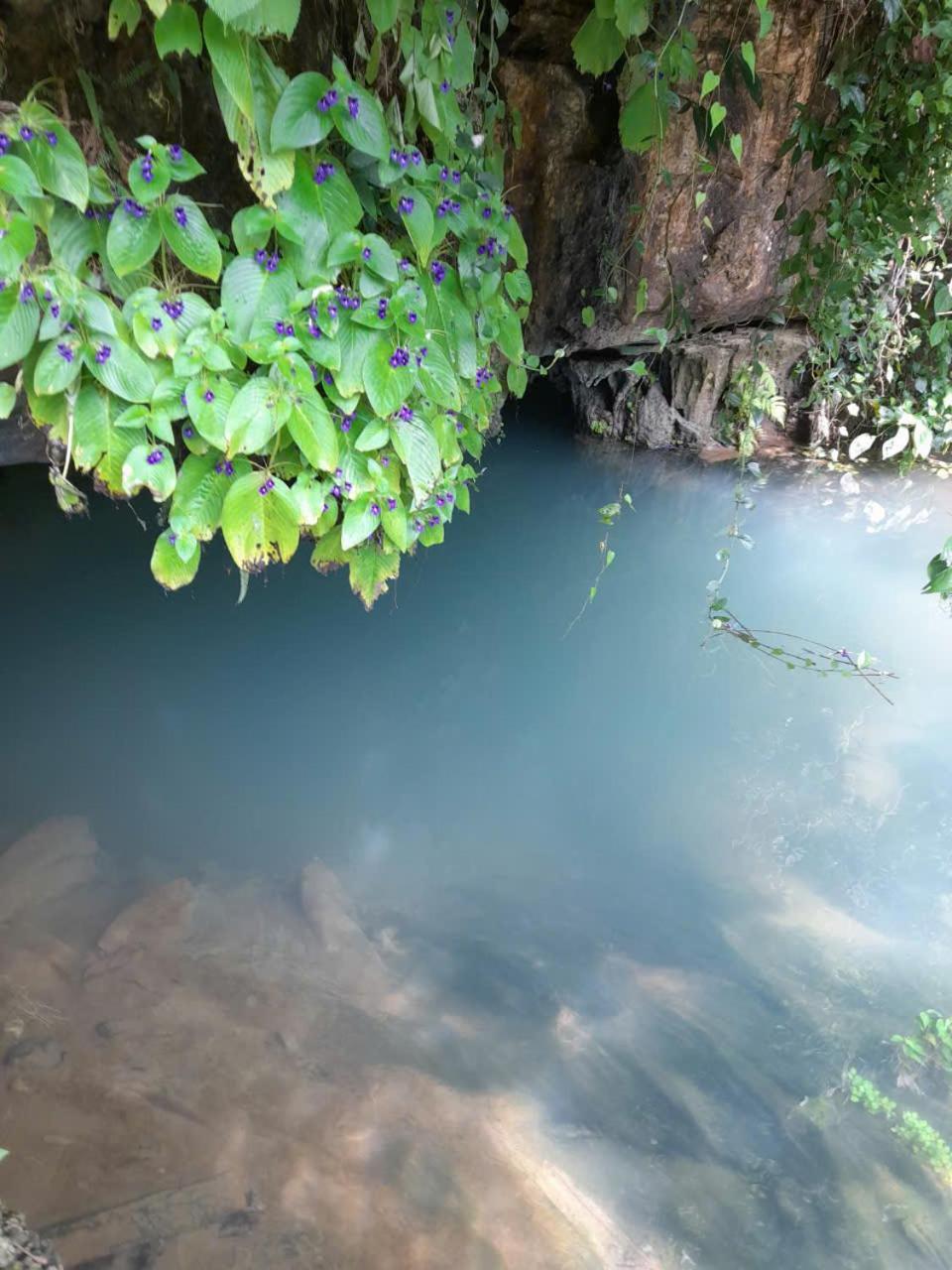 Khach San Vuon Quoc Gia Ba Be Hotell Bac Kan Eksteriør bilde